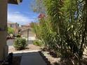 Attractive home exterior surrounded by lush, mature landscaping at 11029 Meadow Leaf Ave, Las Vegas, NV 89144