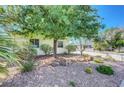 This home features rock landscaping and a mature tree that provides shade for the front yard at 4445 Peterson Dr, Las Vegas, NV 89103