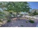 A cozy single-story home featuring low-maintenance gravel landscaping and mature trees in the front yard at 4445 Peterson Dr, Las Vegas, NV 89103