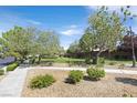Landscaped community with green spaces, sidewalks, trees, and manicured shrubs and flowering bushes at 2864 Kinknockie Way, Henderson, NV 89044