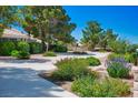 Inviting front yard featuring mature trees, vibrant plants, and a charming home partially visible behind lush landscaping at 8365 S Hauck St, Las Vegas, NV 89139