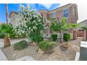 A view of the home showcasing the lovely xeriscaped front yard and desert-friendly flowering shrubbery at 439 Royal Bridge Dr, Las Vegas, NV 89178