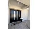 Modern black double front door with a welcome mat and potted flowers on a tiled entryway at 3791 Soplo Rd, Pahrump, NV 89048