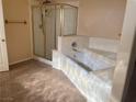 Bright bathroom features a separate shower and soaking tub at 7020 King Solomons Ct, Las Vegas, NV 89117