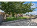Charming single-story home with lawn and chain link fencing at 600 Federal St, Henderson, NV 89015