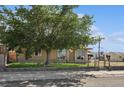 Cozy one-story home featuring a lush lawn and a mature shade tree at 600 Federal St, Henderson, NV 89015