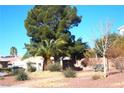 Landscaped front yard with mature trees and a charming bench, creating a welcoming entrance to the property at 7515 Splashing Rock Dr, Las Vegas, NV 89131