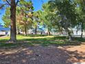 Expansive green common area with mature trees enhancing the residential community's appeal at 2116 Bavington Dr # C, Las Vegas, NV 89108