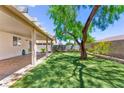 Relaxing backyard featuring a covered patio, shade tree and manicured lawn at 8113 Danaides Ct, Las Vegas, NV 89131