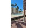 Community pool area featuring palm trees and ample lounge seating at 5000 Red Rock St # 248, Las Vegas, NV 89118