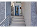Close up of the front door with silver hardware and glass accents at 8060 Haywood Estate Ave, Las Vegas, NV 89113