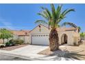 Charming one-story home with a lush front yard and a mature palm tree at 8233 Willeta Ave, Las Vegas, NV 89145