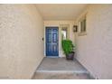Inviting front entryway with a classic blue door and decorative potted plant at 9817 Dardanelle Ct, Las Vegas, NV 89117