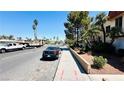 Street view of the property with tall trees lining the street at 3974 Palos Verdes St, Las Vegas, NV 89119