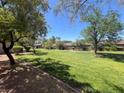 Expansive green space features mature trees and manicured lawns at 6445 Ironbark Ln, Las Vegas, NV 89107