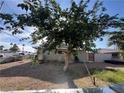 Backyard showcasing mature trees and a relaxed outdoor setting at 1429 S Sandhill Rd, Las Vegas, NV 89104