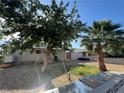 Landscaped backyard featuring mature trees and a gravel ground cover at 1429 S Sandhill Rd, Las Vegas, NV 89104