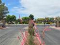 View of the gated community entrance with manicured landscaping and a secure entry system at 412 Orchid Oasis Ave, North Las Vegas, NV 89031