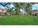 Exterior view of a grassy common area between apartment buildings with lush green grass and mature landscaping at 4770 Topaz St # 113, Las Vegas, NV 89121