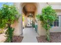 Inviting entryway with lush greenery leading to an arched doorway and double glass doors at 2008 Aspen Oak St, Las Vegas, NV 89134