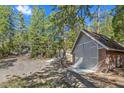 A detached garage surrounded by tall trees at 5230 Whispering Robin Ln, Mount Charleston, NV 89124