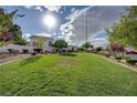 Expansive grassy area with mature landscaping offers a serene setting with walking paths and community gathering at 10360 Cherry Brook St, Las Vegas, NV 89183