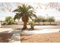 Street view featuring a mature palm tree and landscaped area in front of a residential home at 3436 N Tenaya Way, Las Vegas, NV 89129