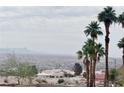 Scenic view from the property with lush palm trees, city, and mountain views at 2160 Highpointe Dr # 102, Laughlin, NV 89029