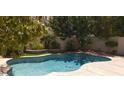 Inviting pool surrounded by mature trees, green landscaping, and concrete decking at 5941 Alington Bend Dr, Las Vegas, NV 89139