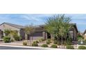 Low angle showing the front of a single-story house with manicured landscaping, brick driveway, and a two-car garage at 789 Drammatico Pl, Henderson, NV 89011
