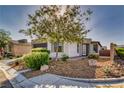 Single story home with desert landscaping, modern architectural design, and a beautiful shade tree at 5091 E Beacon Ridge Dr, Pahrump, NV 89061