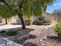 Desert landscaping surrounds this charming one-story home with mature trees and a sidewalk leading to the front door at 732 Goshawk St, Henderson, NV 89015