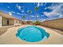 Backyard in-ground pool with a unique shape surrounded by palm trees and desert landscaping at 2851 Winchester Ave, Pahrump, NV 89048
