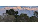 Scenic mountain views with snow-capped peaks and lush green trees in the foreground at 3032 Highland Falls Dr, Las Vegas, NV 89134