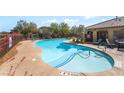 Community pool featuring a tanning ledge with lounge chairs and a lush landscaped border at 10917 Mount Pendleton St, Las Vegas, NV 89179