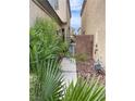 Narrow side yard featuring lush greenery, rocks, and a walkway leading to a gate between two homes at 5334 Floating Flower Ave, Las Vegas, NV 89139