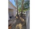 The home's front yard showcases meticulous desert landscaping and distinctive palm trees at 79 Magical Mystery Ln, Henderson, NV 89074