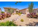 Beautiful desert landscape with cacti and gravel in a well-maintained front yard at 2106 King Mesa Dr, Henderson, NV 89012