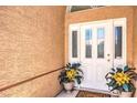 Elegant front door featuring sidelights, potted plants, and a welcoming doormat at 460 Strawflower Rd, Las Vegas, NV 89107