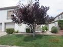 Well-maintained lawn and mature tree enhance the curb appeal of this lovely property at 208 Genesee Point St, Henderson, NV 89074