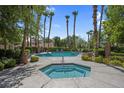 Community pool and hot tub surrounded by palm trees and lush landscaping at 9900 Summer Ash Ct # 101, Las Vegas, NV 89134