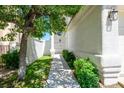 A walkway leads to the front door, framed by a beautiful tree and lush landscaping at 2316 Pine Bluff Ct, Las Vegas, NV 89134
