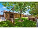 Relaxing backyard showcasing a wooden swing, mature tree, and a well-maintained lawn perfect for outdoor enjoyment at 1929 Stonington Pl, Las Vegas, NV 89108