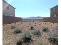 Low-maintenance backyard showcasing desert landscaping and a wrought-iron fence with views of the mountains at 2343 Teatro Ave, Henderson, NV 89044