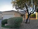 Single-story home with a two-car garage, solar panels, complemented by desert landscaping at 2704 Willow Wren Dr, North Las Vegas, NV 89084