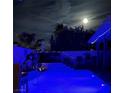 Backyard pool with modern blue lighting, palm trees and an outdoor dining area, beautifully lit at night at 444 Viewmont Dr, Henderson, NV 89015