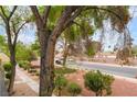 Street view featuring a lush tree and meticulously maintained landscaping at 3221 Yolanda Ln, Las Vegas, NV 89121