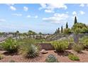 Landscaped backyard featuring desert plants and a wrought iron fence with mountain views at 3088 Evening Mist Ave, Henderson, NV 89052