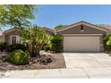 Beautiful one-story house with lush landscaping, desert foliage, and a large driveway leading to a two-car garage at 10463 Luna Magico Ave, Las Vegas, NV 89135