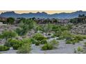 Scenic view of a desert community showcasing green landscaping and a backdrop of majestic mountains at 713 Chase Tree St, Las Vegas, NV 89144